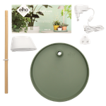 plant light care 11cm gris glacier